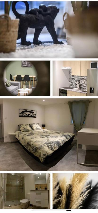Le Boldieu- Duplex Beziers -Allee Paul Riquet- Wifi- Tv Connecte Bagian luar foto