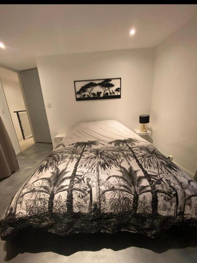 Le Boldieu- Duplex Beziers -Allee Paul Riquet- Wifi- Tv Connecte Bagian luar foto